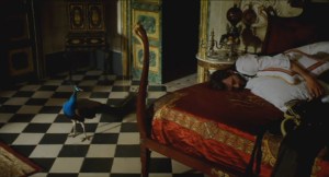 Stella Cadente Lluis Miñarro